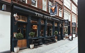 The Bull And The Hide